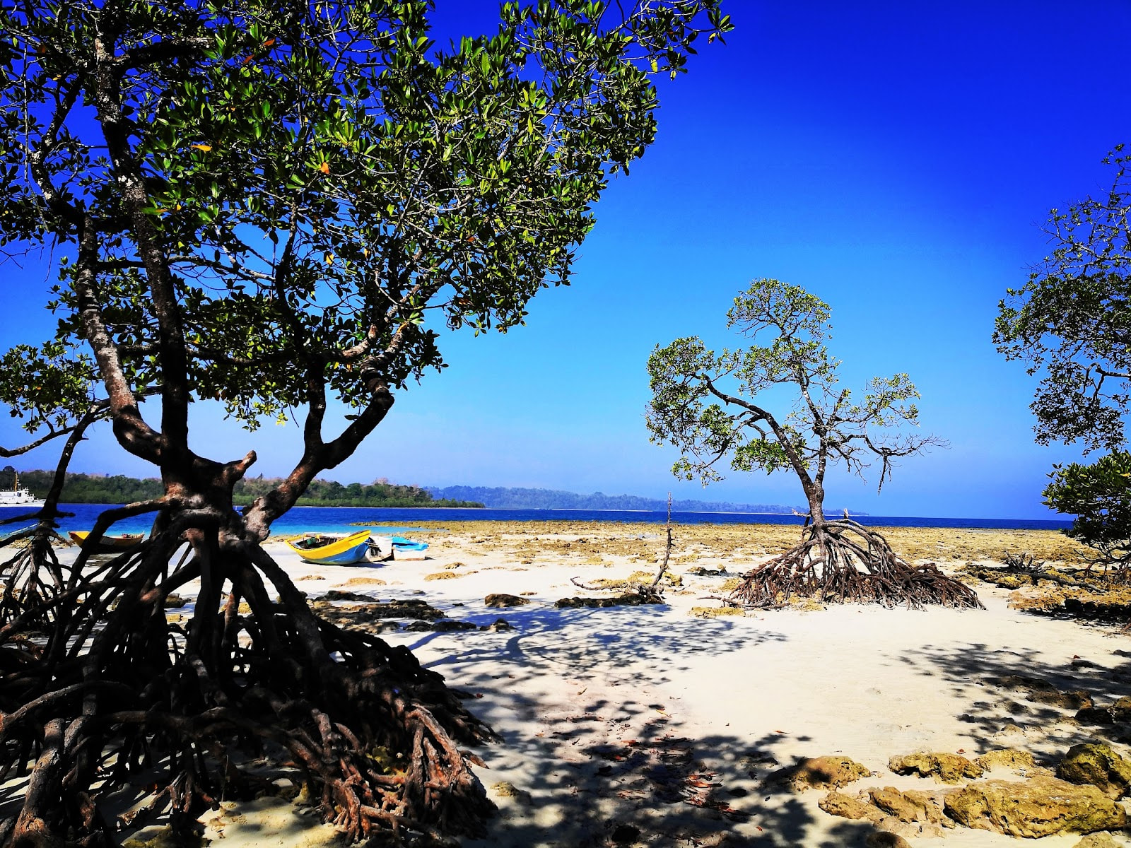 Andaman 7N/8D — Port Blair, Havelock, Neil Island (4N PB + 2N HL + 1N NL)