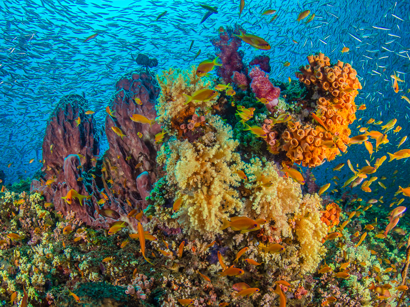 Andaman 6N/7D — Port Blair, Havelock, Neil Island (3N PB + 2N HL + 1N NL)