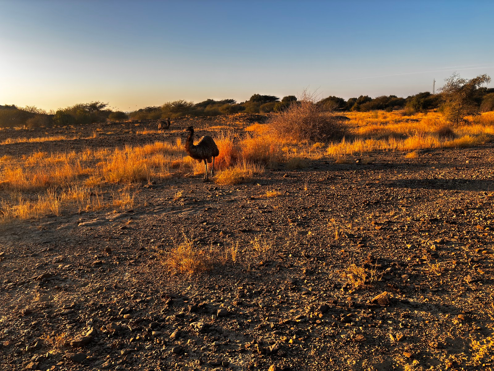 Rajasthan Grand Circuit — Jaipur, Bikaner & Jaisalmer, 7N/8D