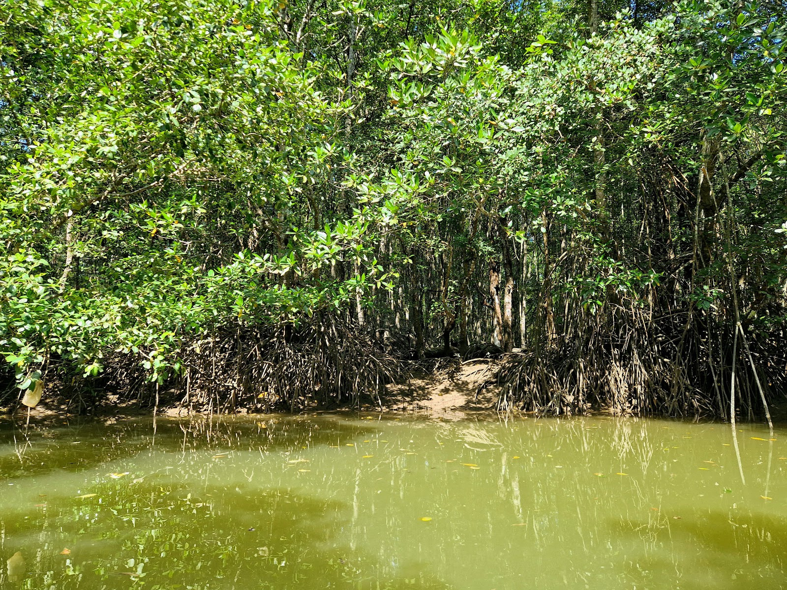 Thailand 4N/5D — Phuket & Krabi