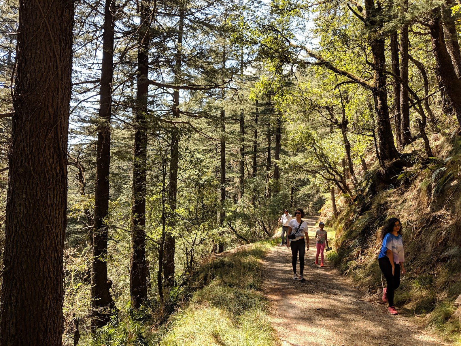 Shimla — 2N/3D from Delhi