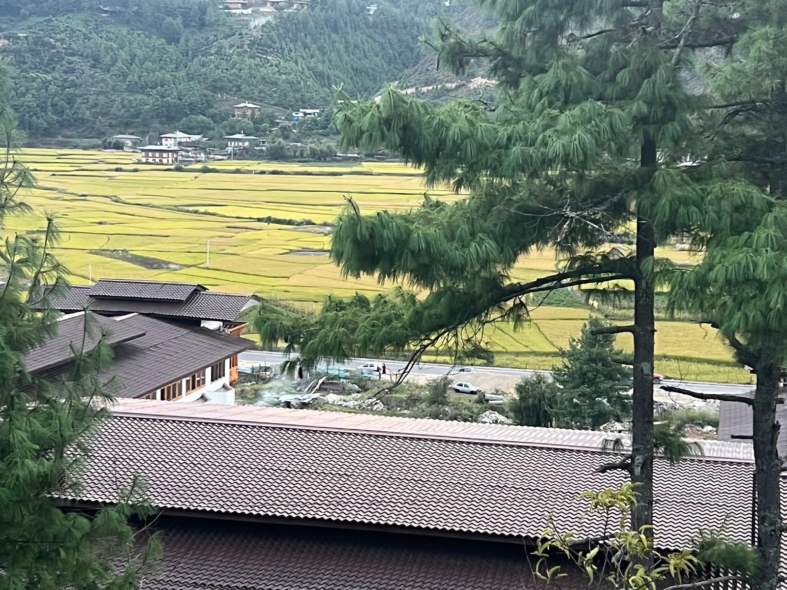 Thim Dorji Riverfront