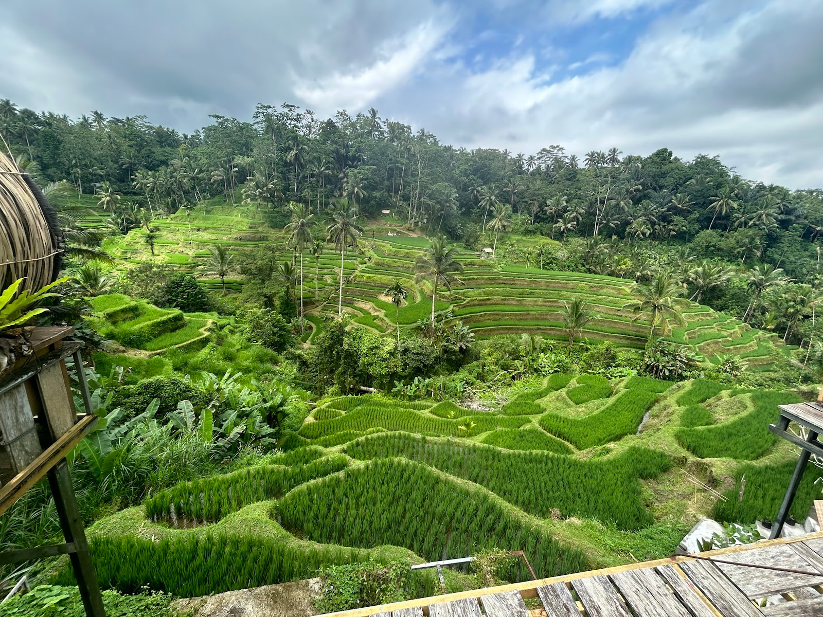 A Great Bali Experience — 7N/8D (4N Kuta | 3N Ubud)
