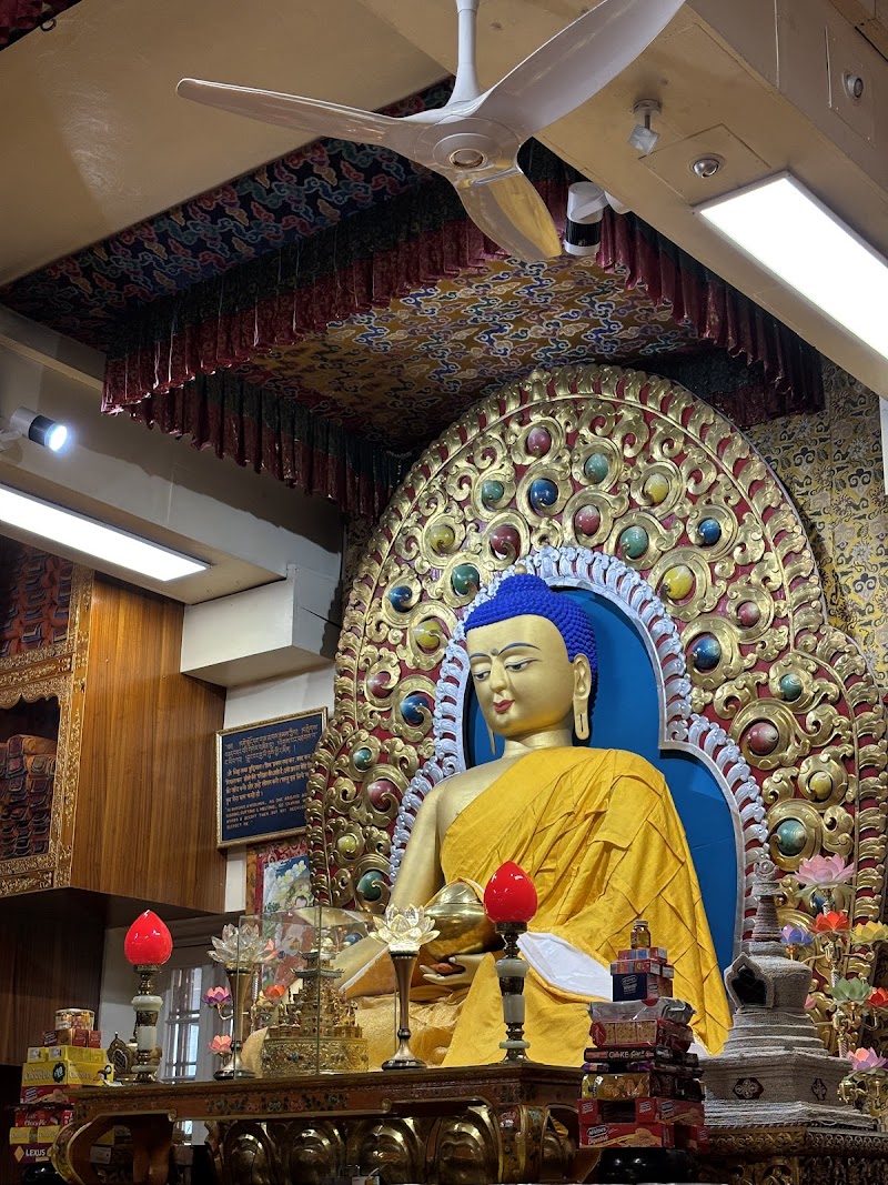 Shimla Manali Dharamshala Dalhousie — 8N/9D from Delhi
