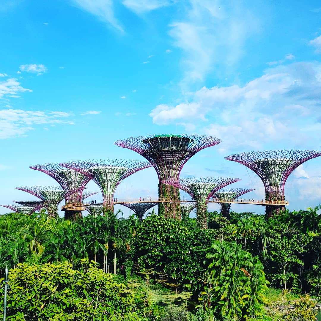 Singapore Explorer Classic — 4 Nights 5 Days
