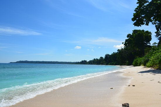 Andaman with Kids — Coral Island & Glass-Bottom Boats