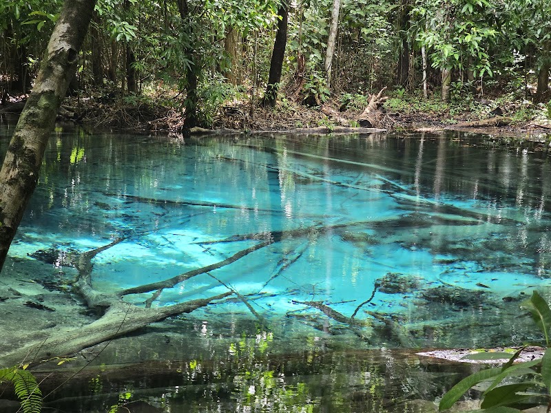 Krabi Rainforest & Emerald Pool — Phuket Escape